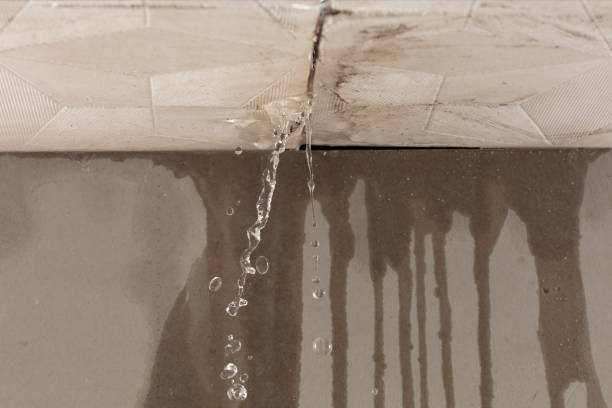 Professional Water Damage Repair technician working in Belvidere, IL